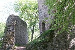 Ruine Altwolfstein